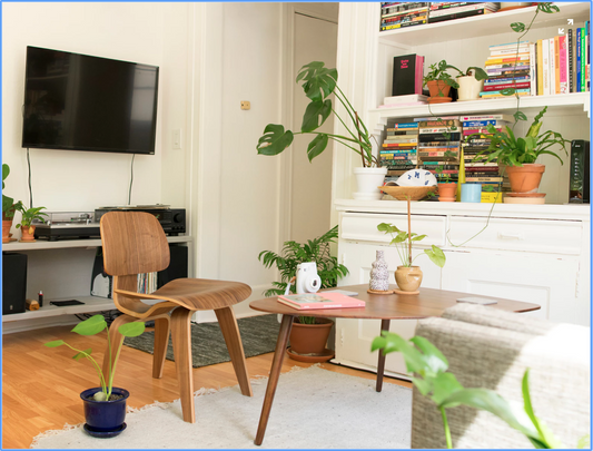 Eames Dining Chair | DCW